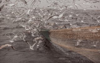 Ustka - Galerie zdjęć - Wyprawa w morze