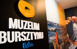 Muzeum Bursztynu - nowa atrakcja w Ustce - Odwiedź muzea w Ustce!