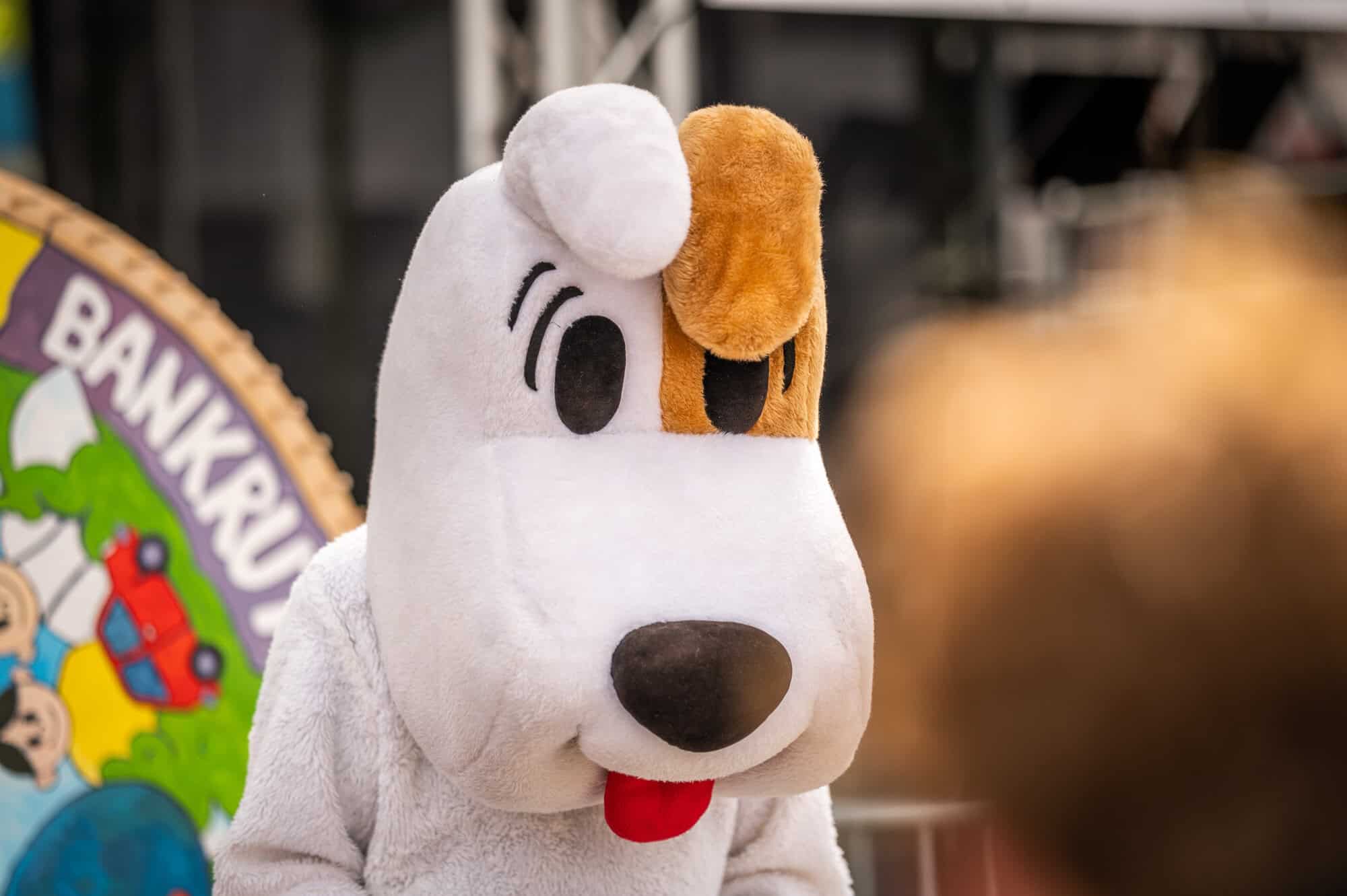 BIELSKO BIAŁA I BESKIDY W USTCE 2022.jpg 2